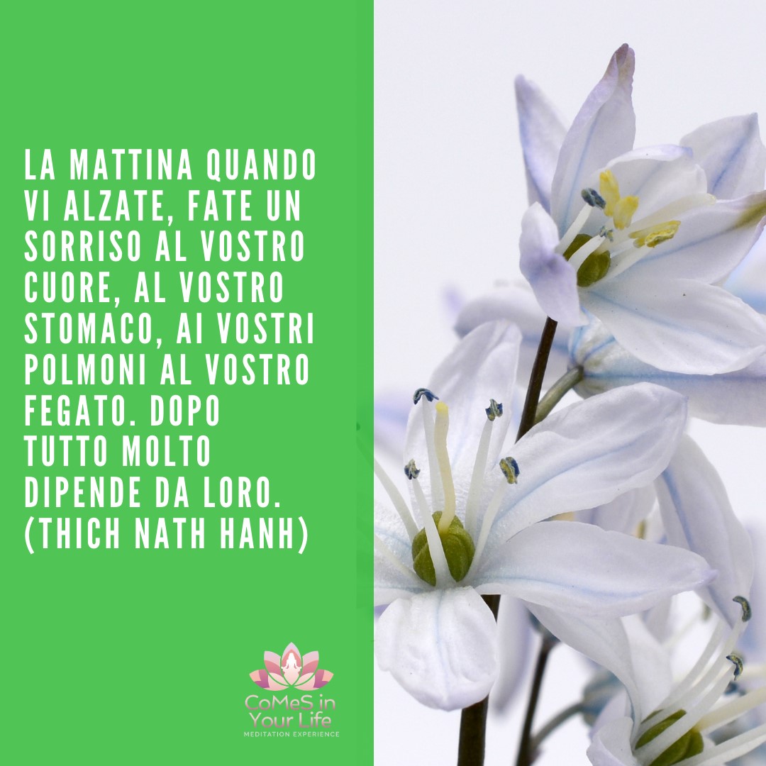 Il sorriso del mattino